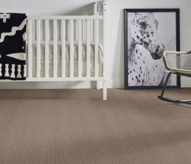 Carpet Flooring Solutions